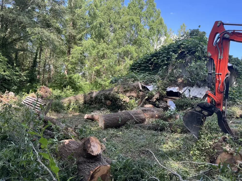 Excavator beside cut logs and tree debris
